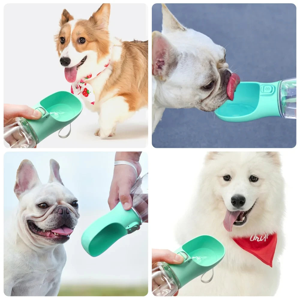 ModiLabs™ Portable Leakproof Pet Water Bottle